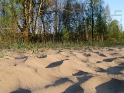 Polen_2009_227.jpg