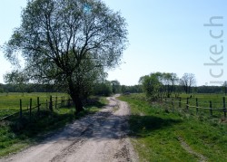 Polen_2009_291.jpg