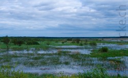 Polen_2009_620.jpg