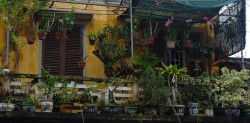 Vietnam_2007_0587_1.jpg